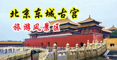 白丝女警喷白浆中国北京-东城古宫旅游风景区